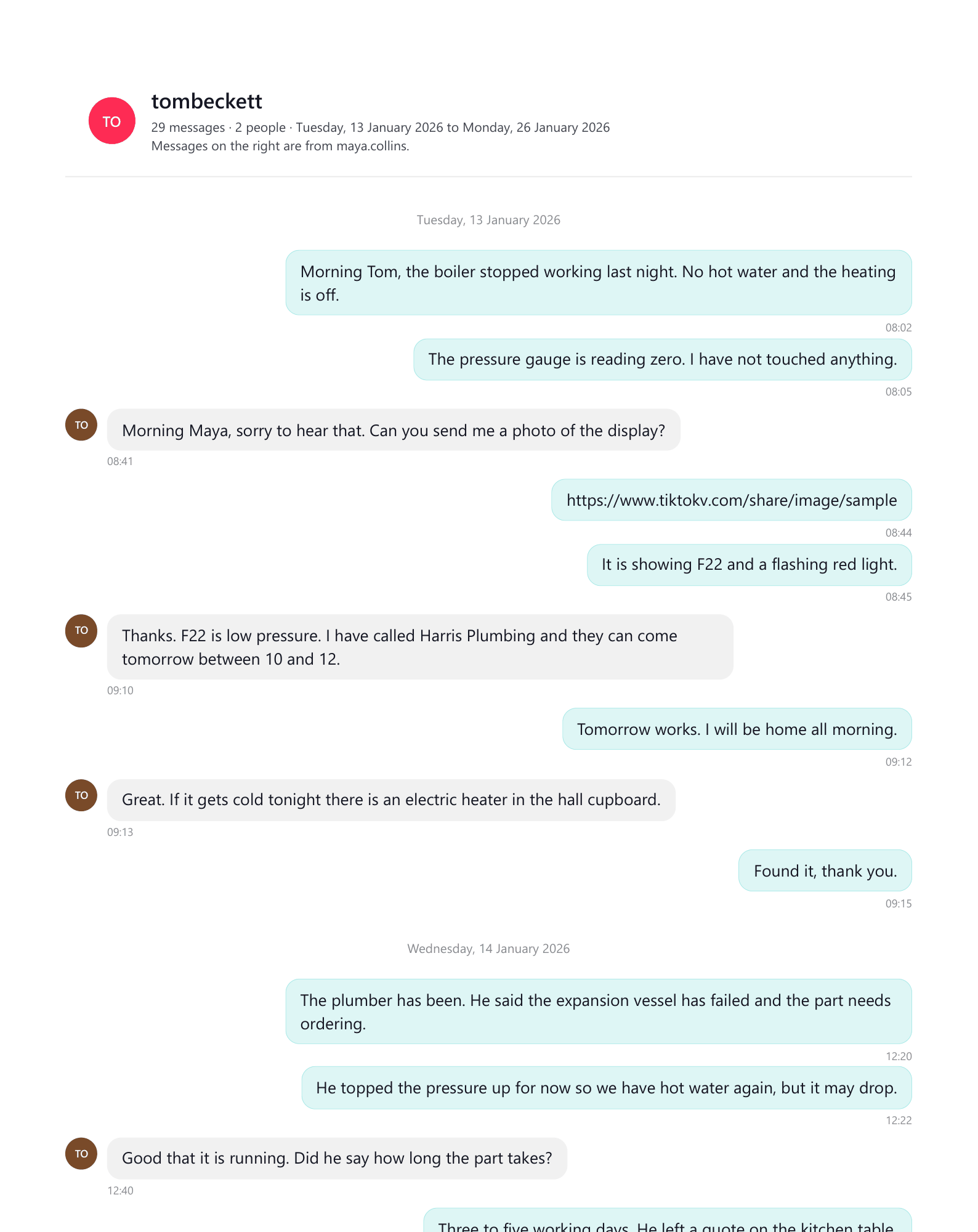 A page of the sample transcript in the TikTok look style